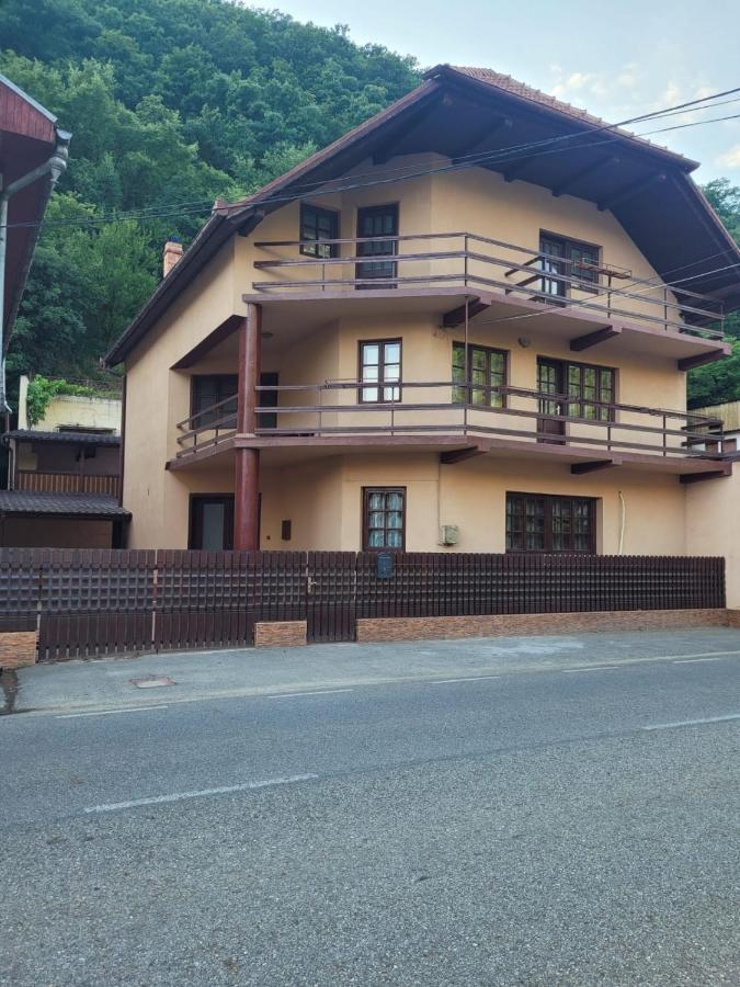 Villa Casa Basu à Băile Herculane Extérieur photo