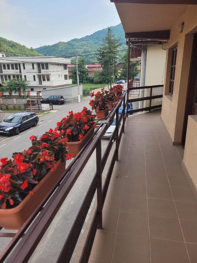 Villa Casa Basu à Băile Herculane Extérieur photo