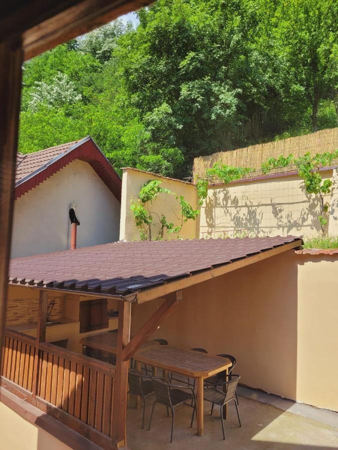 Villa Casa Basu à Băile Herculane Extérieur photo
